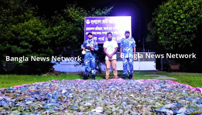 চাঁদপুরে ১৫০০ কেজি জেলিযুক্ত চিংড়ি জব্দ