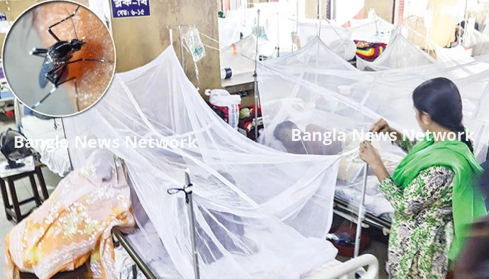রাজধানীর দুই সিটির ১৩ ওয়ার্ডে ডেঙ্গু নিয়ন্ত্রণের বাইরে